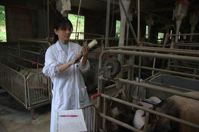 四川饲料大王首富变“首负”：欠了近千亿，一年光利息就要18亿