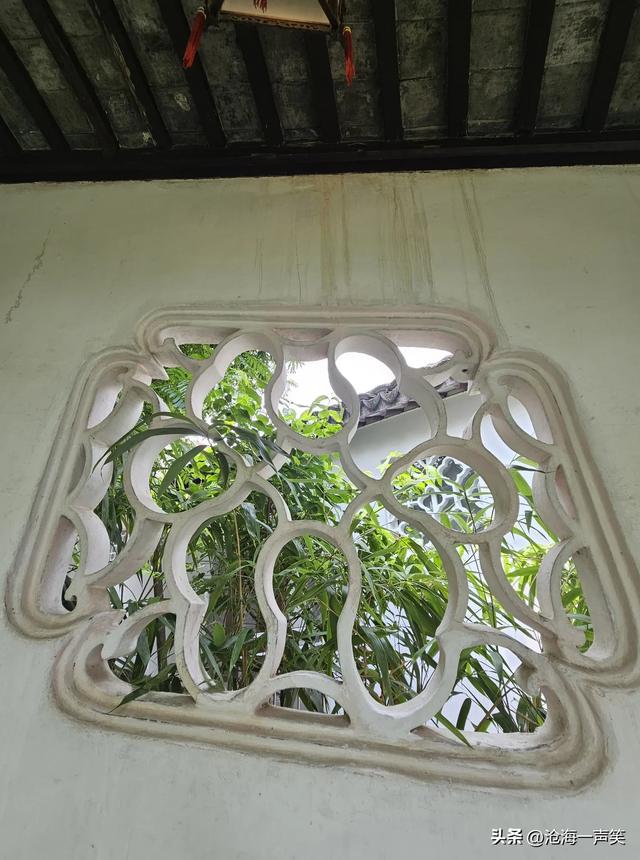 沧浪亭，苏州园林的杰出代表，古老的树木，古老的庭院，深几许?