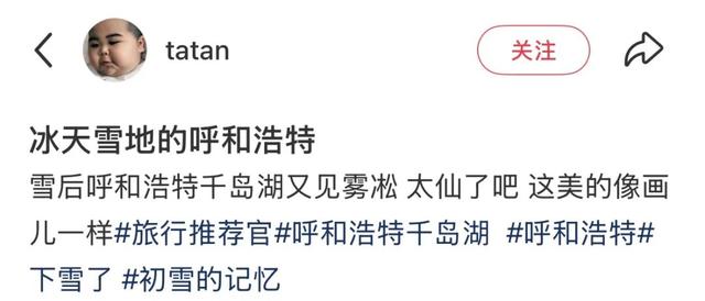 呼和浩特太会了！用“山、天、水、土、绿”拼出顶流🤩