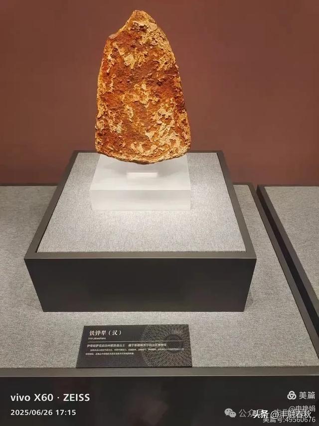 穿越千年的丝路回响：走进龟兹博物馆｜申艳娟