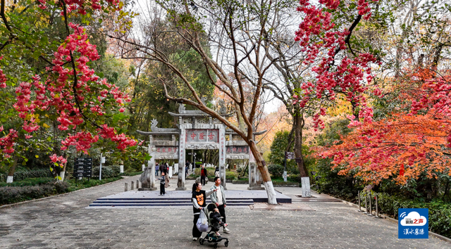 哎呀！谁打翻了襄阳“调色板”！