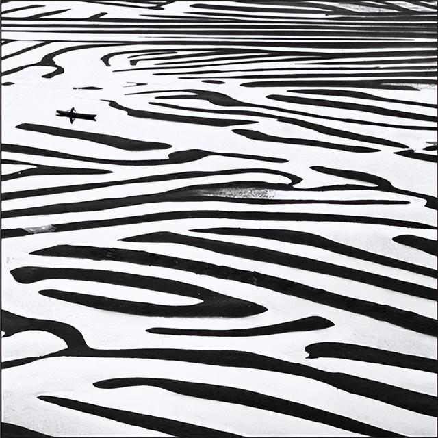 这是油画还是实景？太美太美啦！！