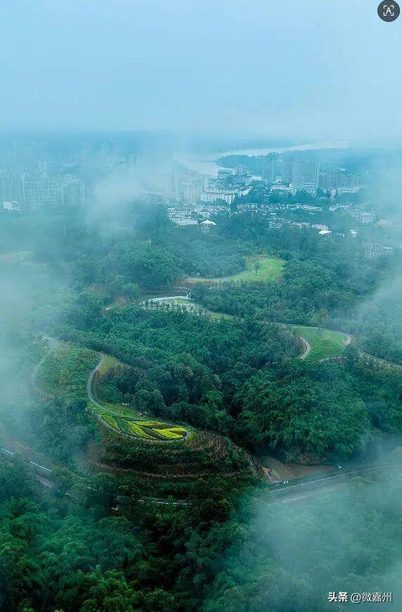 城建第一线丨海棠盛景今日开园 这个假期就到这里享受慢时光