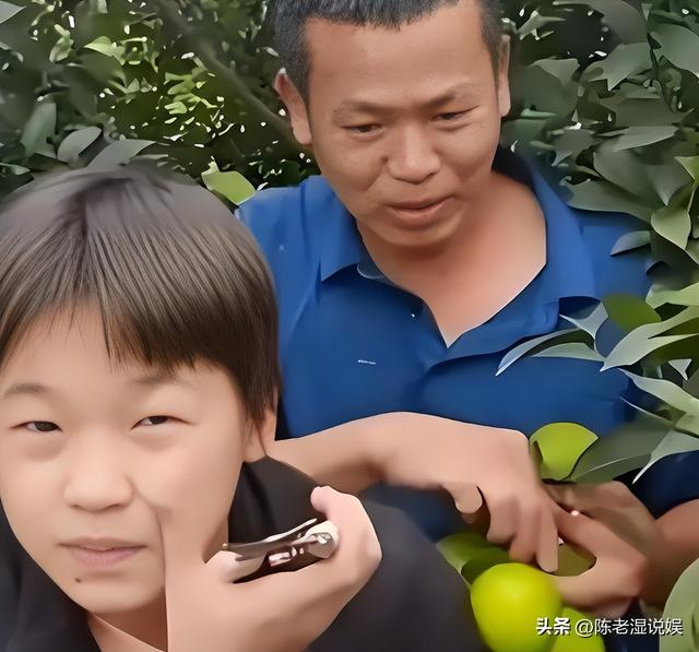 人民日报锐评全红婵捐赠直播收入，释放3大信号，郭晶晶说对了