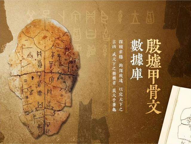 七巨头末日循环：从关联交易到资本链断裂的24个月倒计时
