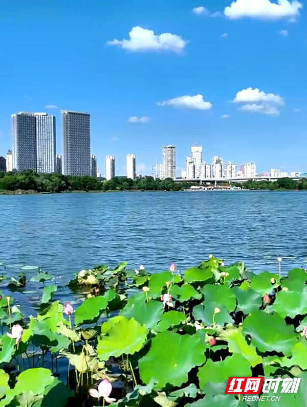 湖库觉醒⑤ | 三湖叠翠：一水长歌润北城