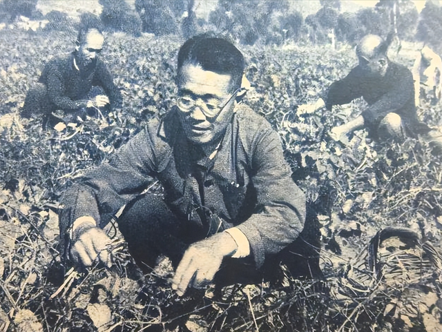 杨振宁人生两大遗憾：22岁小舅子在他家离世，父亲带着遗憾离开