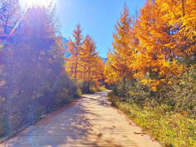 让我再看你一眼🧡