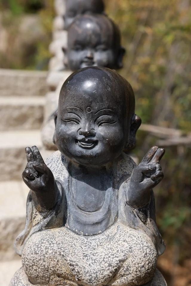 被秋天偏爱的海上仙山，藏不住了！