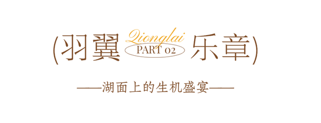 冬崃｜在泉水湖湿地公园，收藏整个冬天的浪漫与生机~