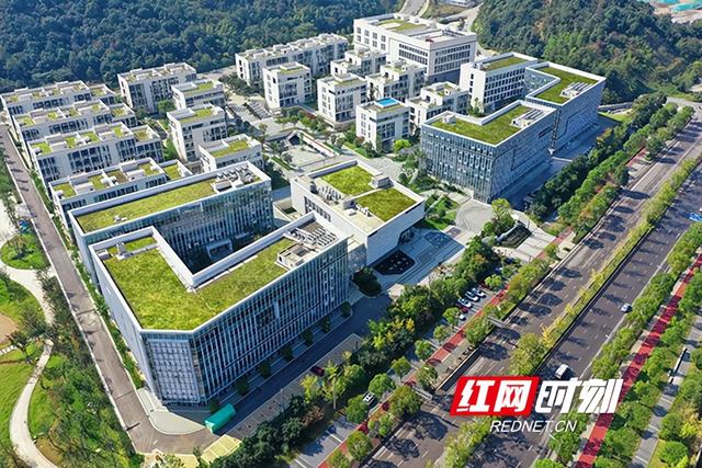 有望2025年年底开启运营！干细胞与再生医学技术创新长沙中心来了