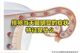 排卵当天最明显的症状特征是什么图片