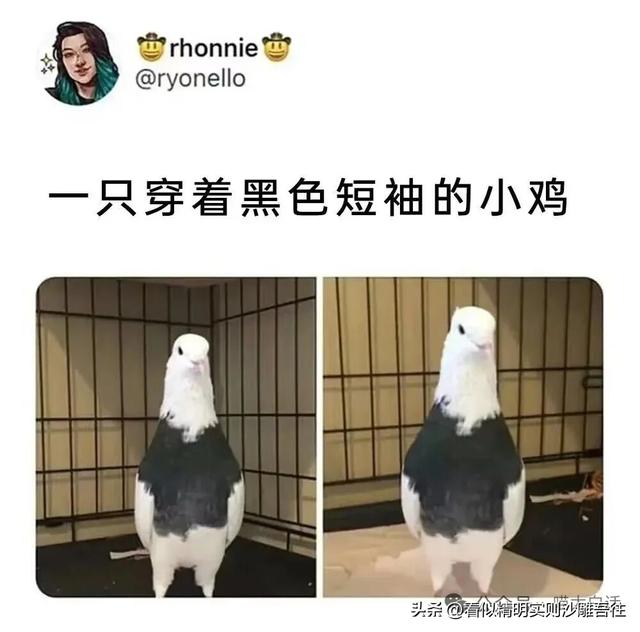 开心一笑 但求一赞❤️