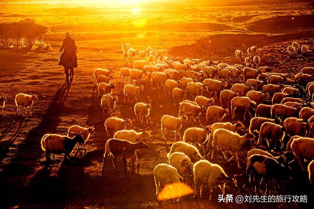 把秋天装进相册！这8个神仙目的地，让你拍出封神大片！
