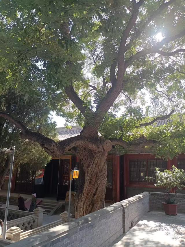 又踏甘肃地之四十二 武威篇之五 武威文庙（2）