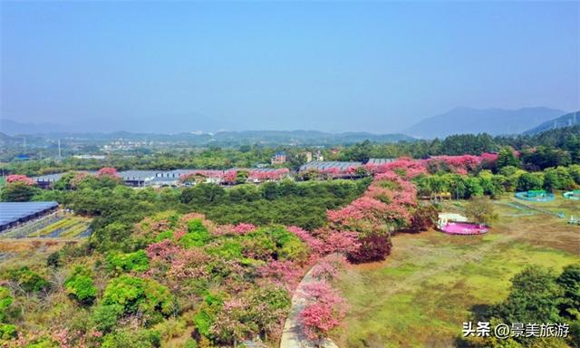 三星增辉南山月，三马拉动秋冬游，三水南山上演不落幕的文旅盛宴