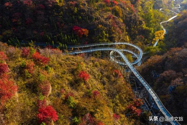 红了！淄博绝美红叶季来袭，一景区免费！等天晴，就出发→