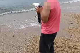 事发大连！男子先后暴力抓捕3只海鸥，还把海鸥摔在甲板上图片