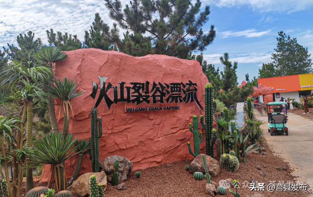 莒县文旅再焕新！浮来青“茶山牧场”开门迎客！
