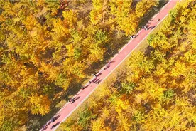 爱航拍丨济南的秋天盛景马上到来，你准备好了吗？图片