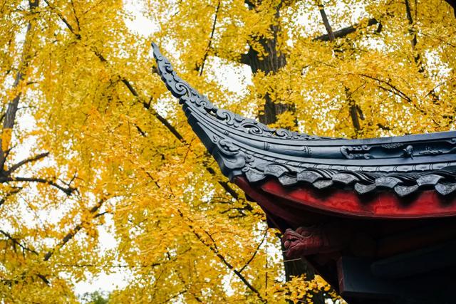 今日大雪 | 打卡这里,定格冬日专属美照