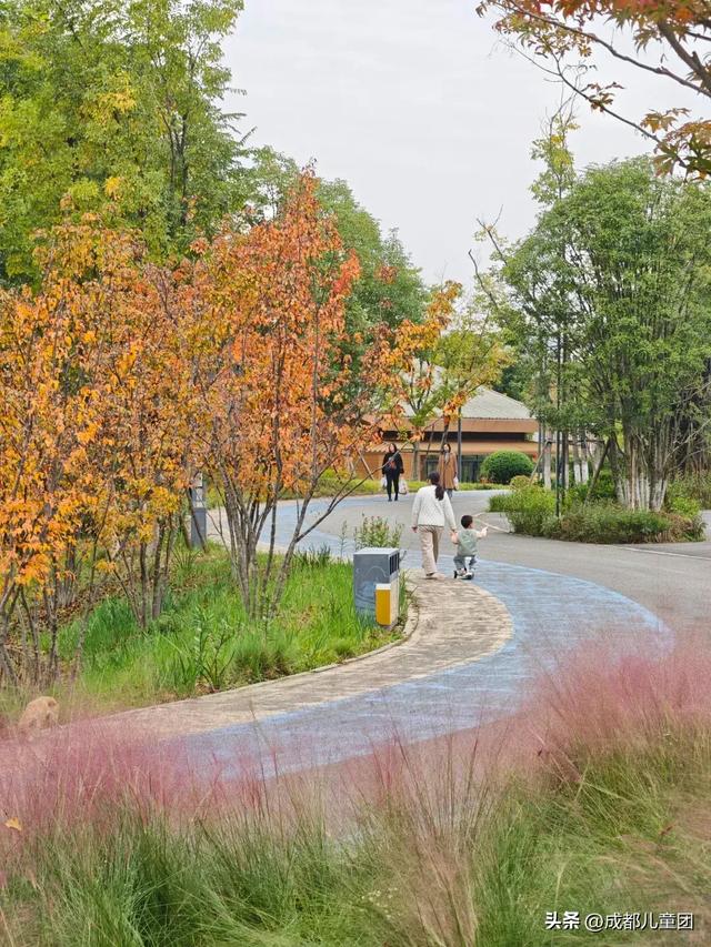 成都公园地图丨晒太阳不打挤的20个公园,东南西北全覆盖