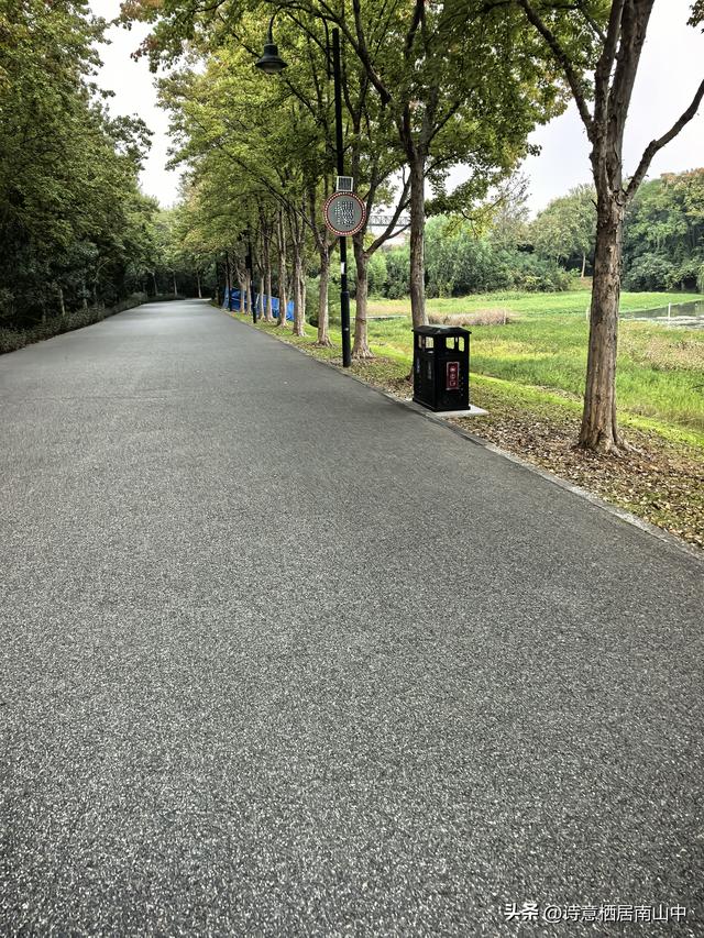 东湖绿道东西大环线五十公里畅快骑行！