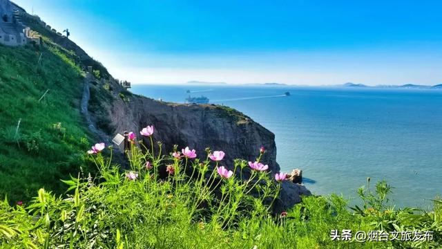 【乐游烟台】来呀，来“拈”花，来“惹”草！