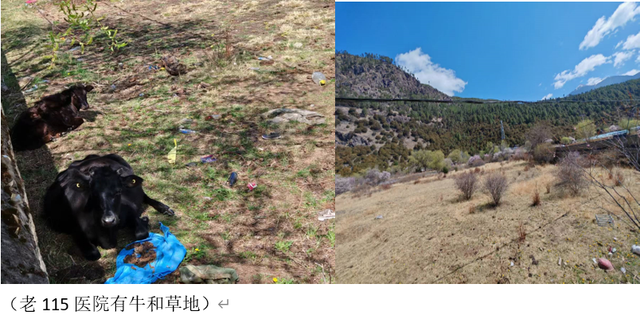 退役女兵回到林芝，老部队变成放牛地，桃花照样开满唐地村…