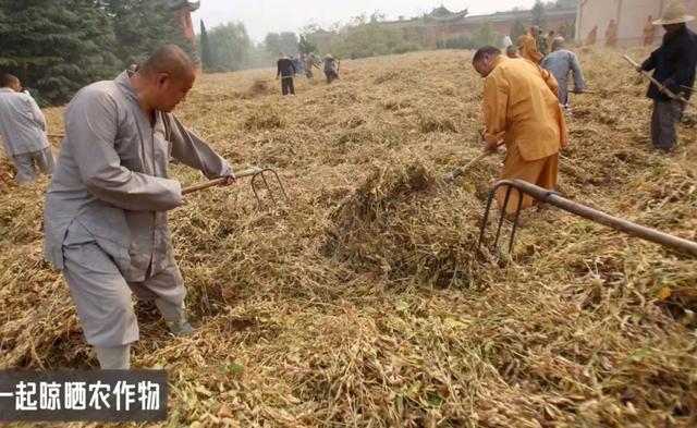 临危受命后直接掀翻释永信式商业，少林寺新住持，到底什么来头？