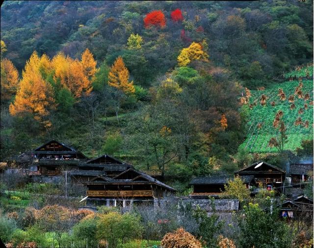 雅安这些景区免票、半价！