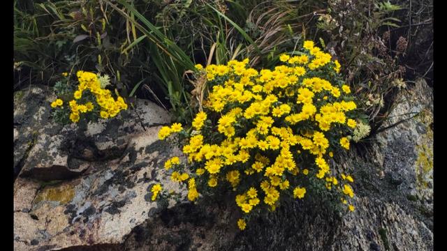 吉河水甲天下—陕西省安康市汉滨区探访四