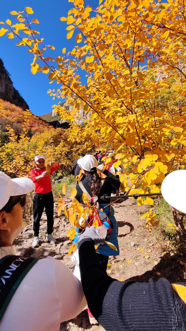 花最少的钱，看最美红叶，邢台佛照山，我们坐火车公交来啦