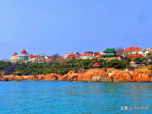 冬日限定浪漫！跟着蒋欣去海上喂海鸥！