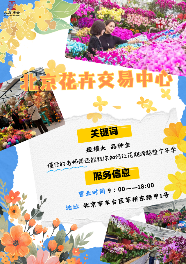 丰台这7家宝藏花卉市场，承包你冬日的盎然“生机”