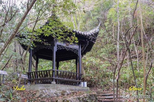 影记 | 衢州钱江源国家森林公园