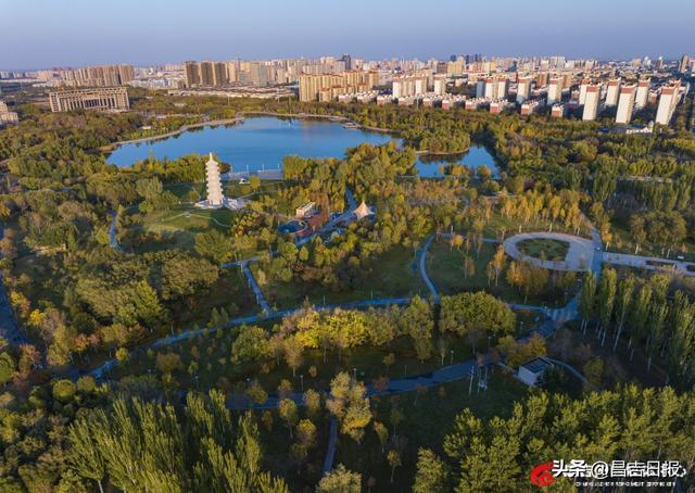 昌吉滨湖河中央公园：邂逅一场秋色绮梦
