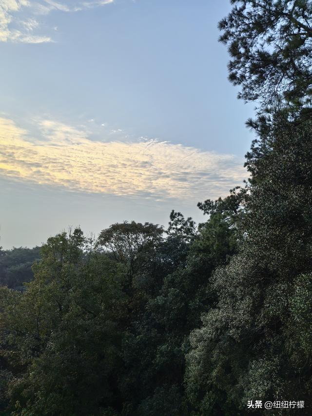 户外徒步之挑战缙云九峰，从健身梯道到狮子峰，走了四小时