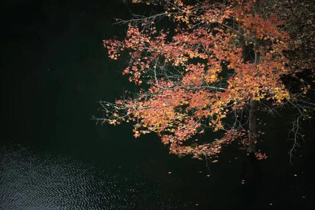 利州＝梦幻秋色打卡地