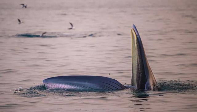 地理冷知识—春节自驾游路线