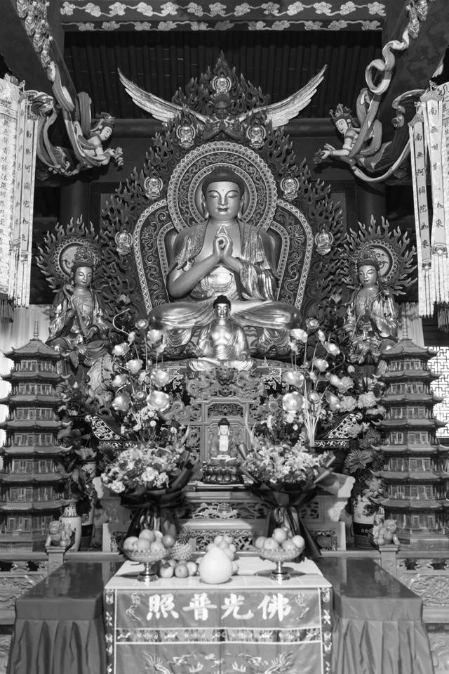 护国兴教寺，拜谒玄奘大师埋骨地