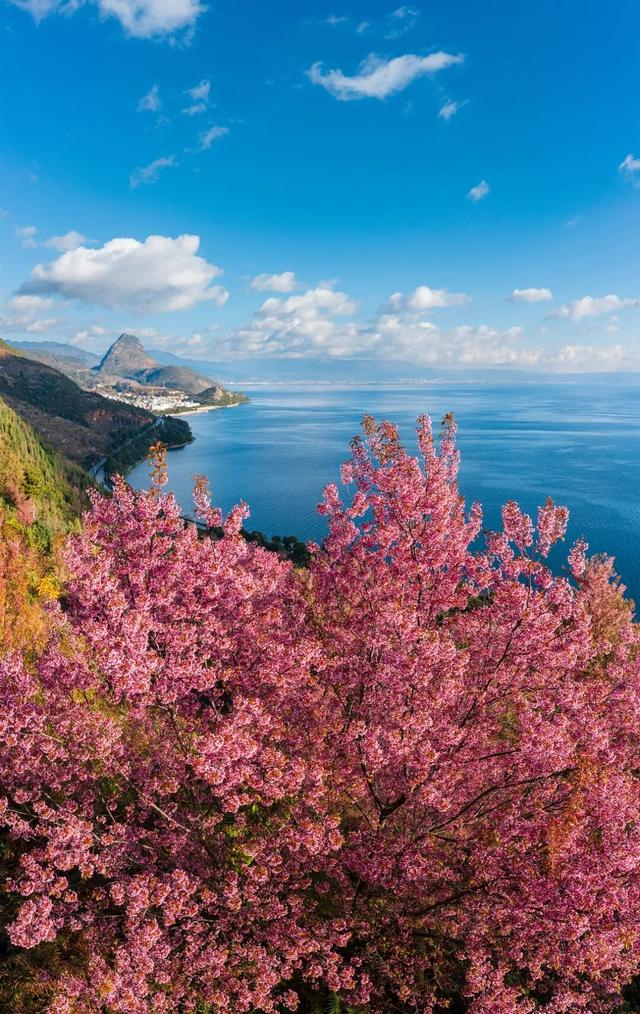 地理冷知识———春节9天假去哪旅游