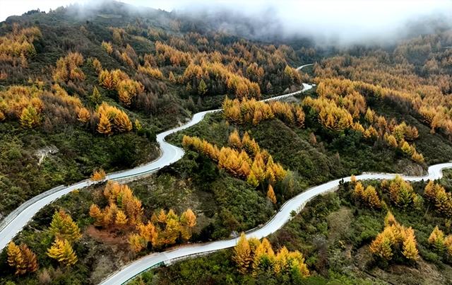 【行业动态】陇南秘境：秋末冬初的山水诗行