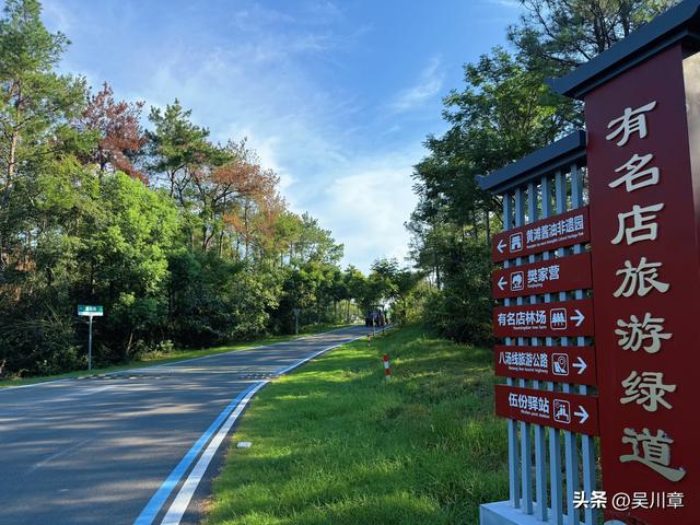 漫游应城“最美公路”，一路畅行，满眼皆景