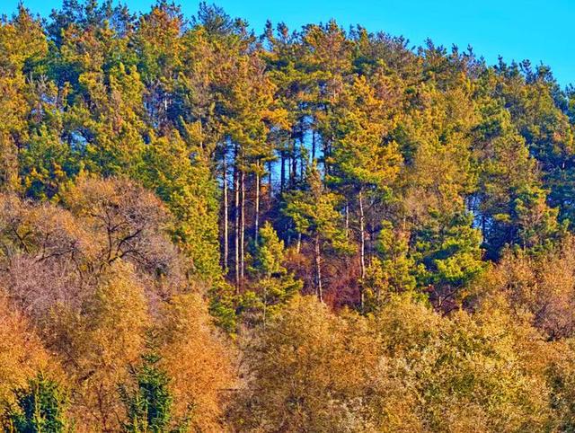 吉林市丰满区：山水相依秋意浓