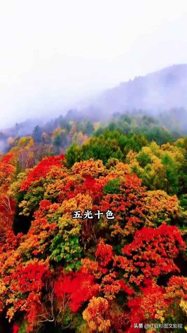 爆！天池的美难以言表 它因“水怪”而被称为中国最神秘火山湖！