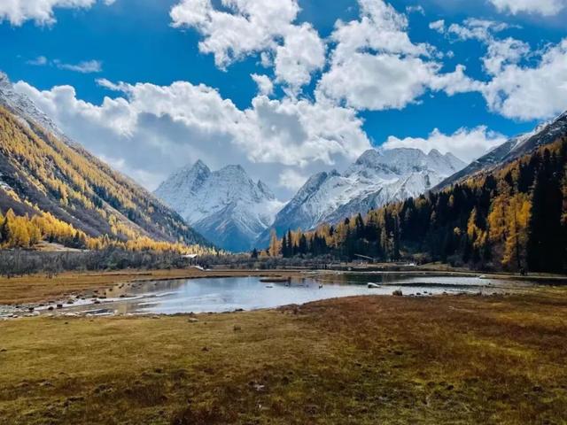 接下来，小金是这样的~