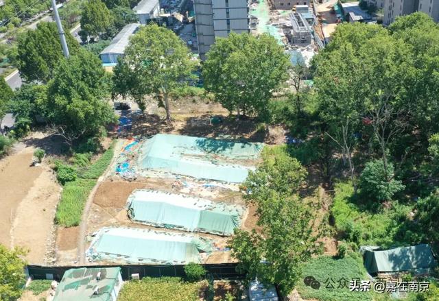 预审选址启动！南京文化新地标，重磅进展！