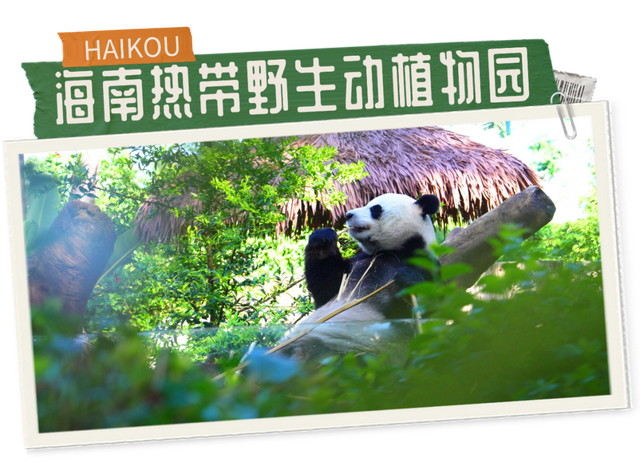 畅游旅交会，别忘了解锁海口惊喜礼遇！