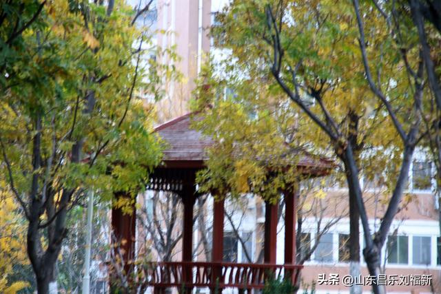 小丹河(老坝河水库西段)立冬那天的风光